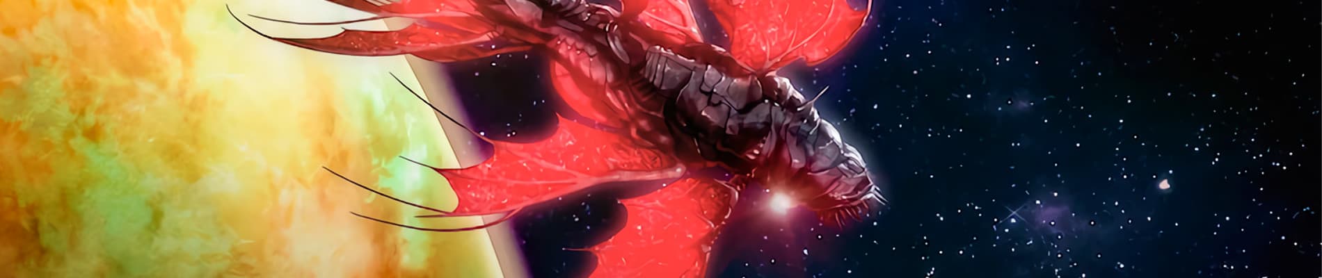 Banner for exception