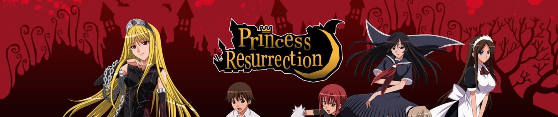 Banner for Princess Resurrection