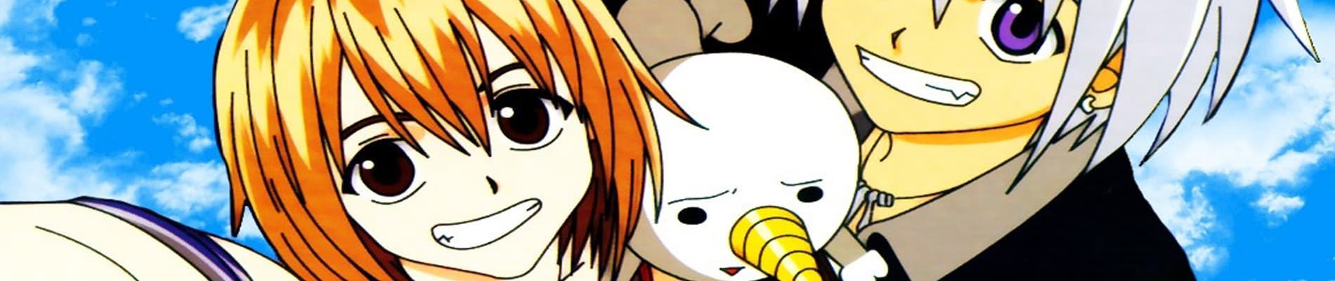 Banner for Rave Master